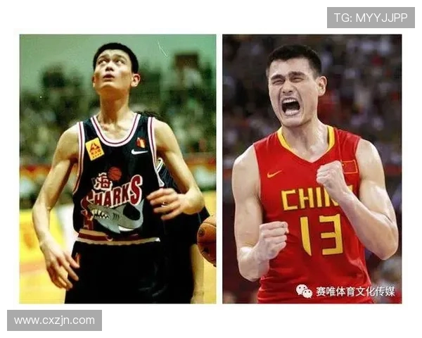 NBA球员转战CBA的案例及职业发展影响分析