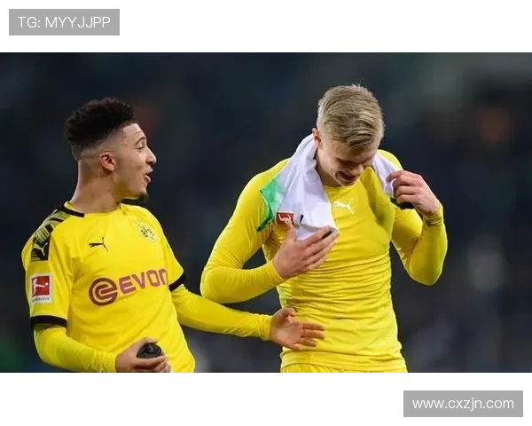 德甲球队近年来的成绩表现与对比分析