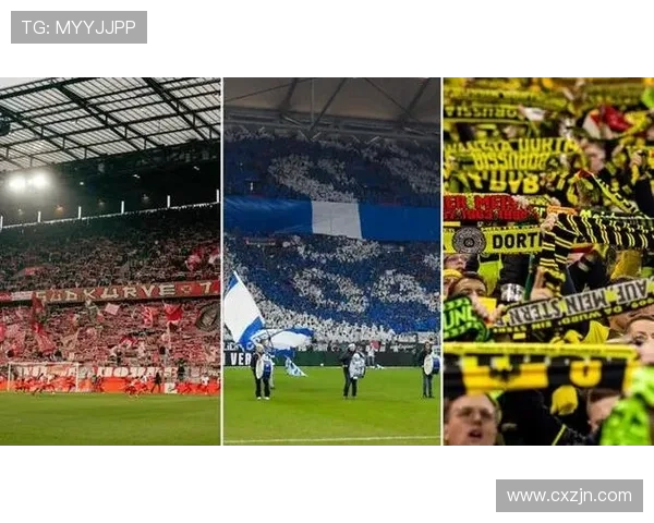 本赛季德甲保级形势最严峻的球队预测